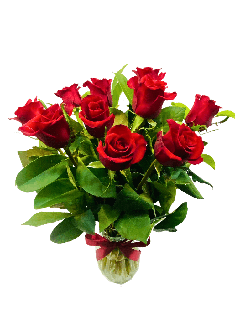 Red Roses in a Vase Gift