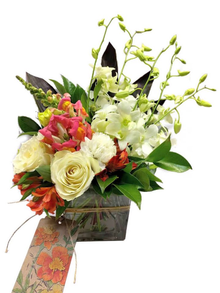 Flower Blooms Arrangement