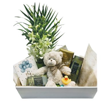 New baby Boy Gift hamper