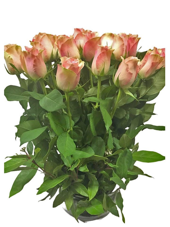 pink roses flower arrangement