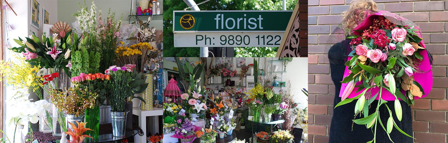 mont albert florist store