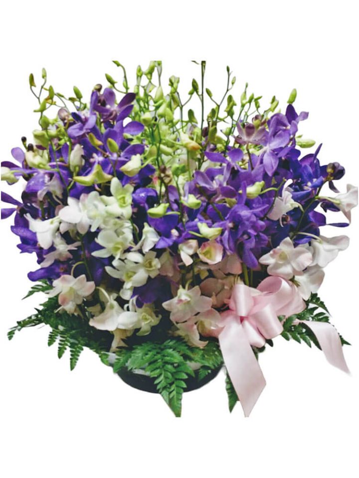 Orchid Deluxe Mont Albert Florist