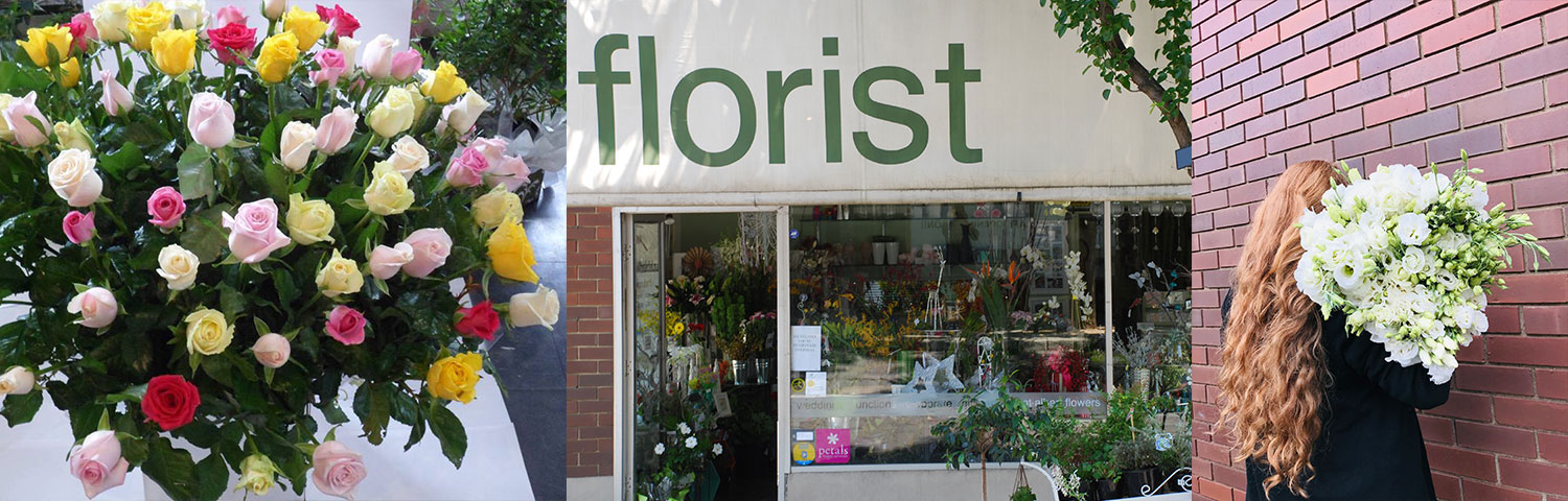 mont albert florist contact