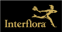 Member of Interflora