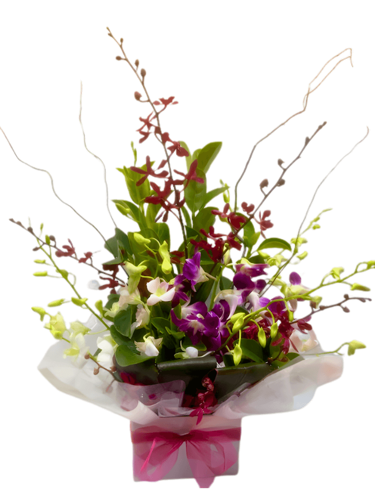 Orchid deluxe flower box