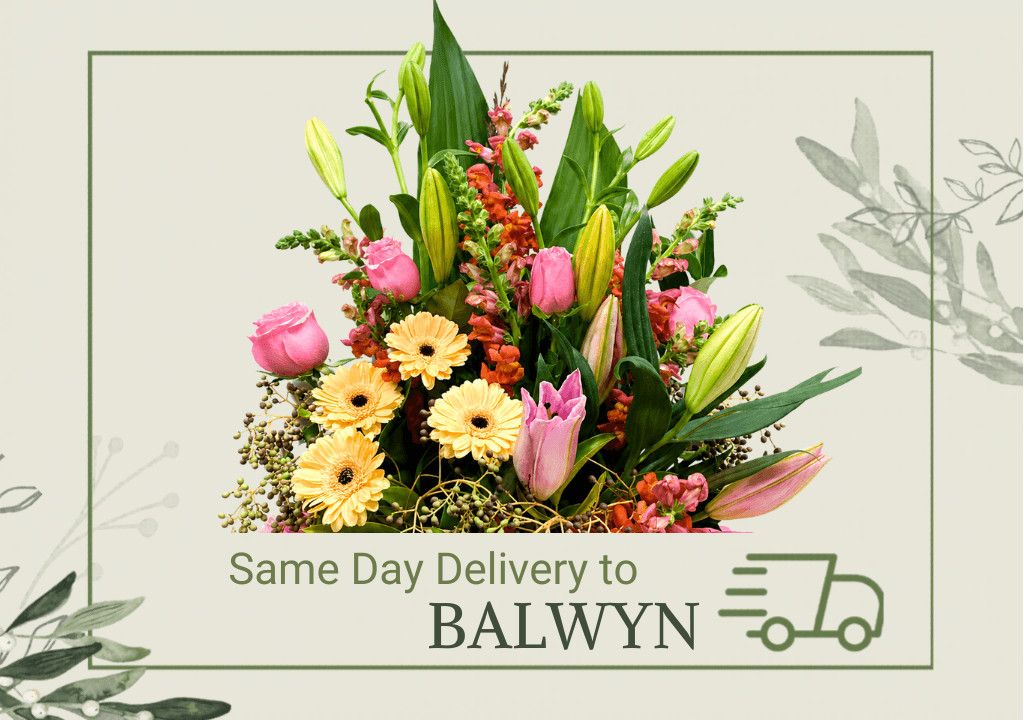 balwyn flower delivery